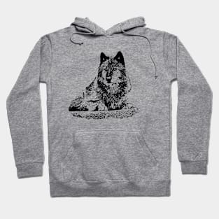 Lying wolf Hoodie